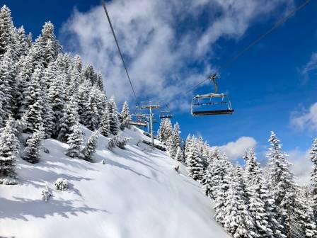 Discover 7 Places Snow All Year Round in the U.S.