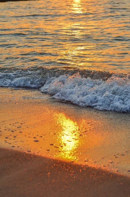 Nature’s Sandy Runway